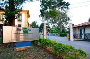 Foto: Gustavo Porpino/Embrapa