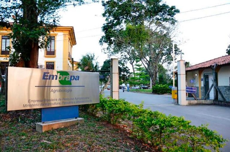 Foto: Gustavo Porpino/Embrapa